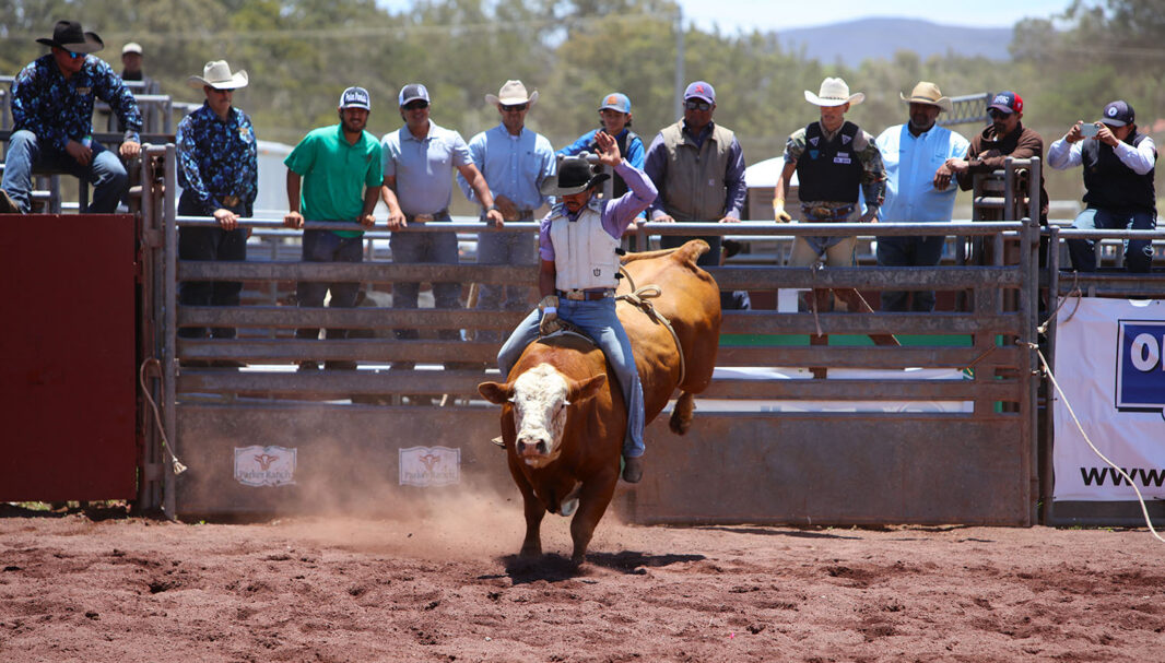 A paniolo riding a bucking bull during the rodeo action, showcasing the fast-paced competition at the Parker Ranch Rodeo.